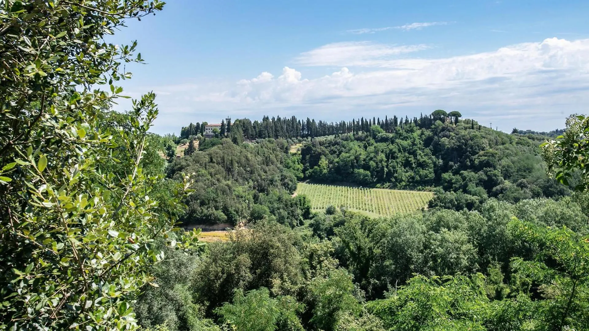 Fattoria Di Colleoli Guest House Country house