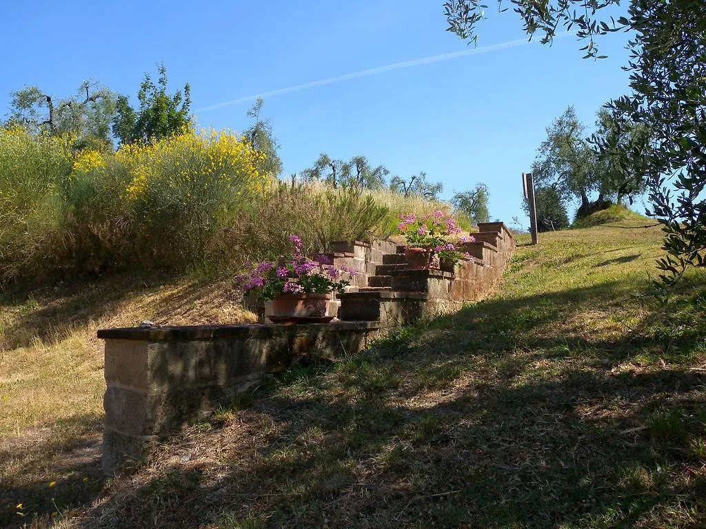 Fattoria di Colleoli Affittacamere